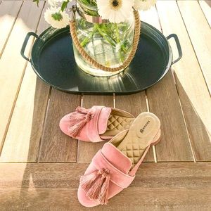 NIB-Birdies Shoes | The Robin Velvet Mules Tassels